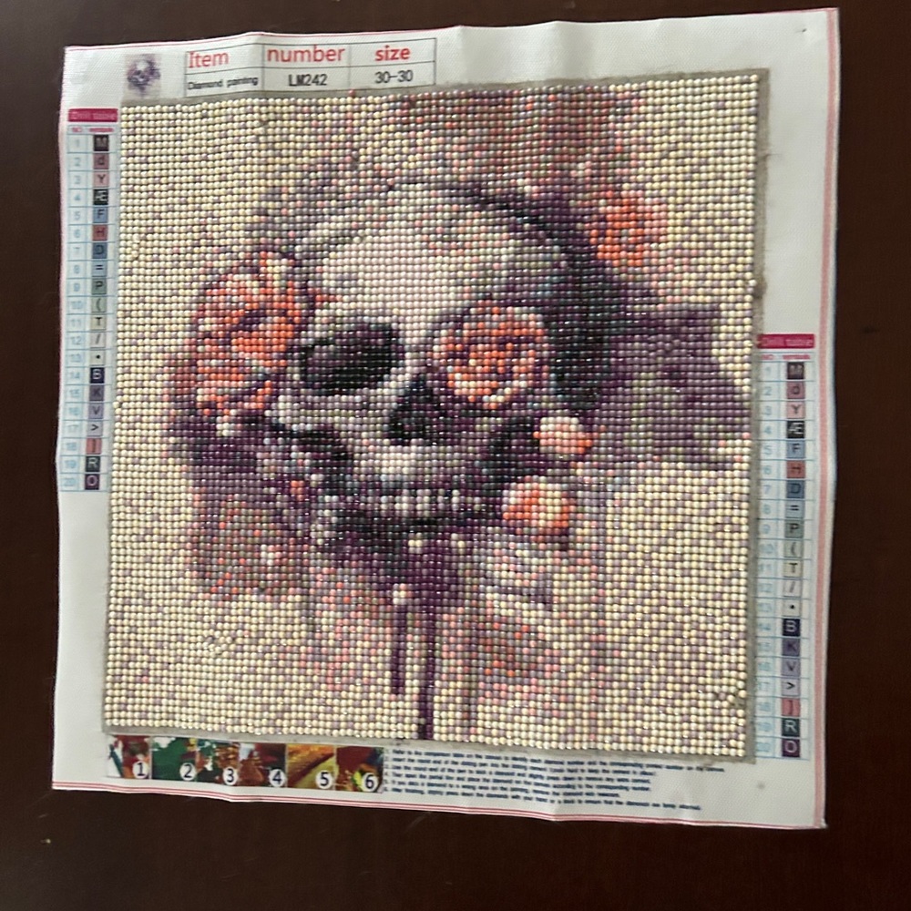 Sugar Skull Diamond Art Ready to Frame